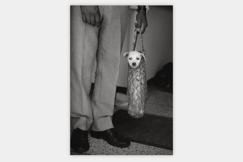 ݥȥɥ쥯 #05 ̿ / ȥꥨ340ߥ塼