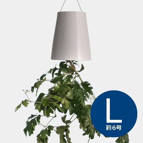 դ޼ưץ󥿡 Ĺѥ磻䡼եåդ L (ץ󥿡ꥸʥ) / ܥ