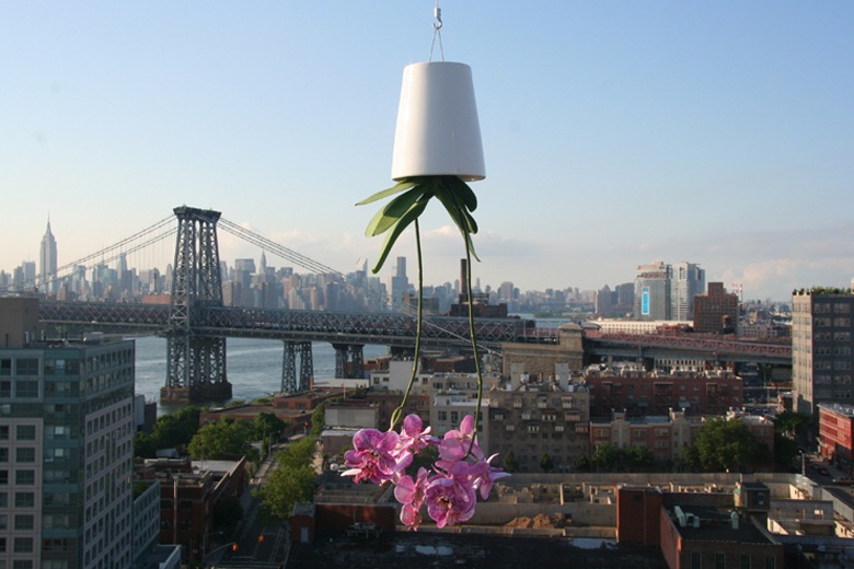 դ޼ưץ󥿡 Ĺѥ磻䡼եåդ L (ץ󥿡ꥸʥ) / ܥ