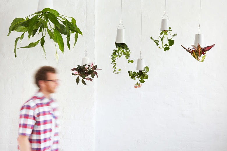 դ޼ưץ󥿡 Ĺѥ磻䡼եåդ L (ץ󥿡ꥸʥ) / ܥ