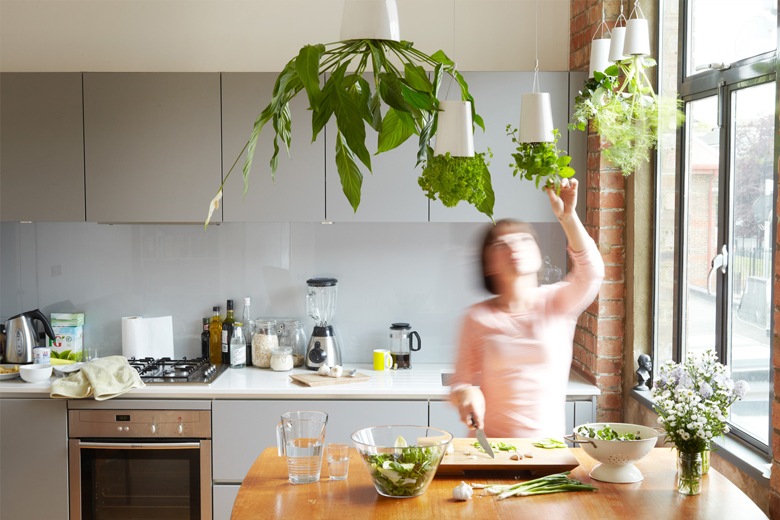 դ޼ưץ󥿡 Ĺѥ磻䡼եåդ L (ץ󥿡ꥸʥ) / ܥ