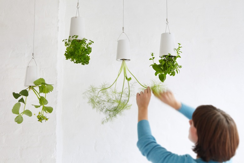 դ޼ưץ󥿡 Ĺѥ磻䡼եåդ L (ץ󥿡ꥸʥ) / ܥ