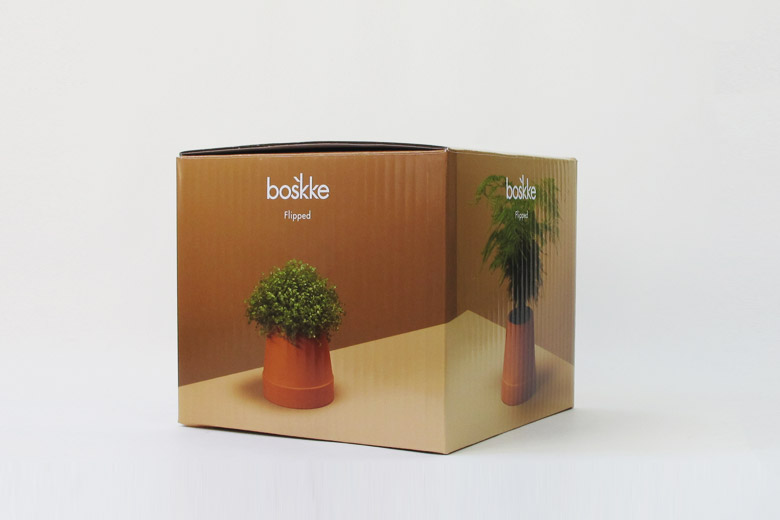 եåץ ưץ󥿡 / ܥ