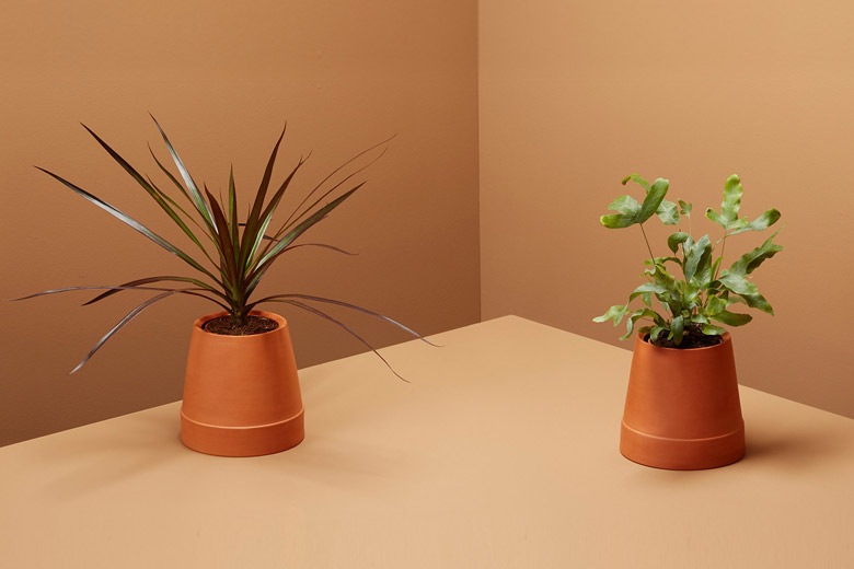 եåץ ưץ󥿡 / ܥ