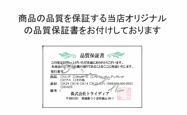 ٥ͥ ͥå쥹 ץ Pt850 Τ  ǥ 0.7mm 45cm 2.2g 饤 ץ쥼 ե