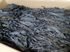 �����ѽн����ۡ����̳�ƻ���ۡ�ĹƬ�ɺ��ۡ�1����