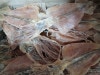 礭ʥᡪ̳ƻù10900g1kg)