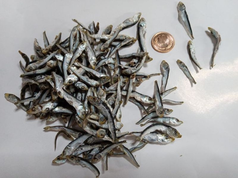 ���������ǿ��٤�Ѵ����ˤ�Ȥ��롪��Ĺ��彽���绺��ʿ�ҼѴ�����1����