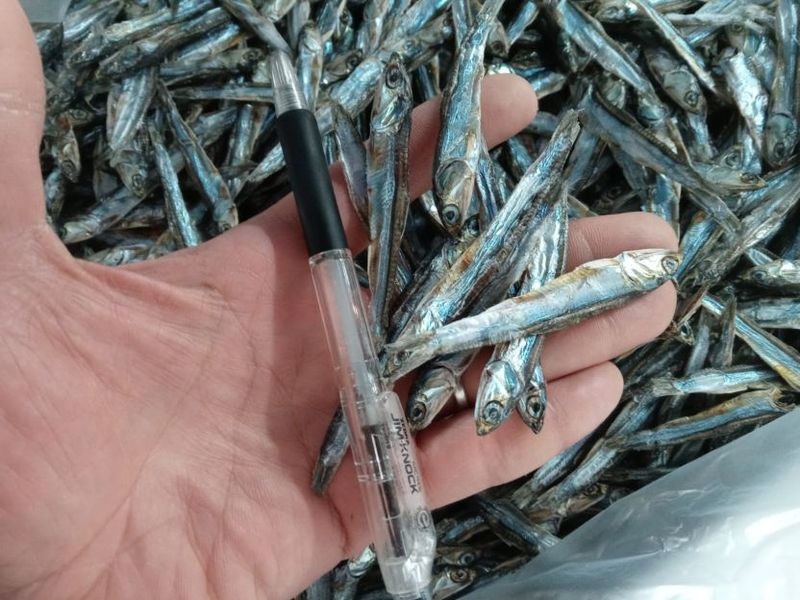 ���⻺�ĺ���100���