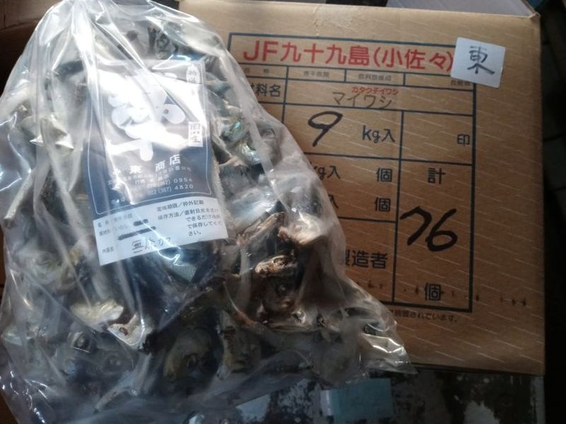 �����ä����ä��礭�ʥ�������Ĺ�껺��̵ź�áɡڥޥ��亮��ʿ�ҼѴ�����1����