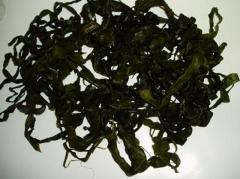 ��Φ���Ԥ狼�� ��1����