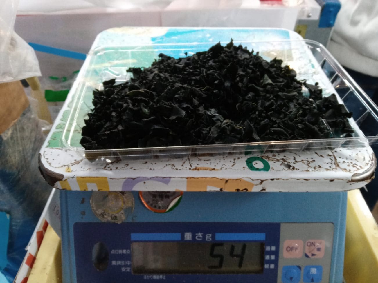 ��Φ�����祫�åȤ狼���54���