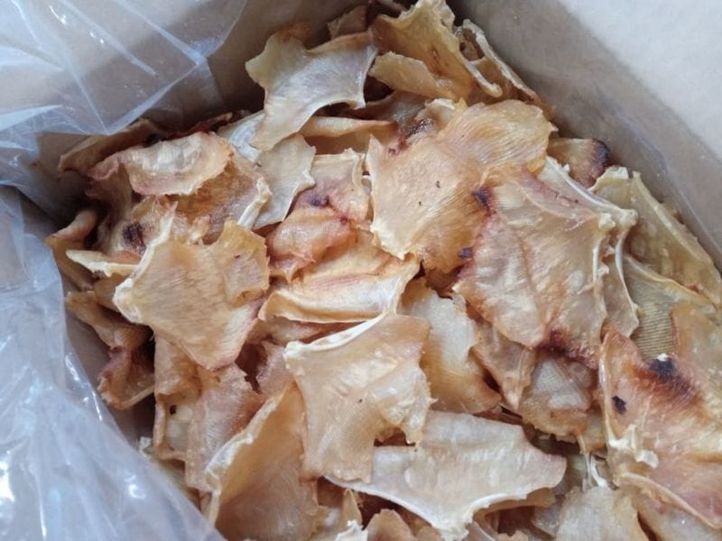 �դ�Ƥ����Ҥ��80���