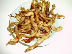 �Ȥ�Ƥ����Ҥ��100���