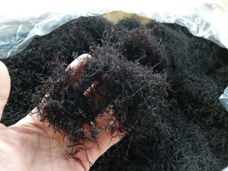 �ڥ��㥭���㥭�����ۤ���������̳��դΤ��46���