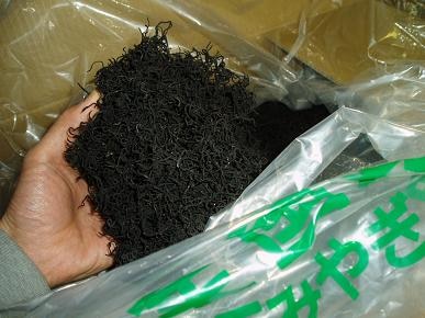 ��Ķ���š�������ʻ�Φ���Ҥ�����60���