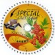 ���ڹ��� ��ե����ࡦ���κ�ȸ��� ��ư�ݵ� ���åץ����ۥ��ڥ���륫�åȥ��� 165��56 1��
