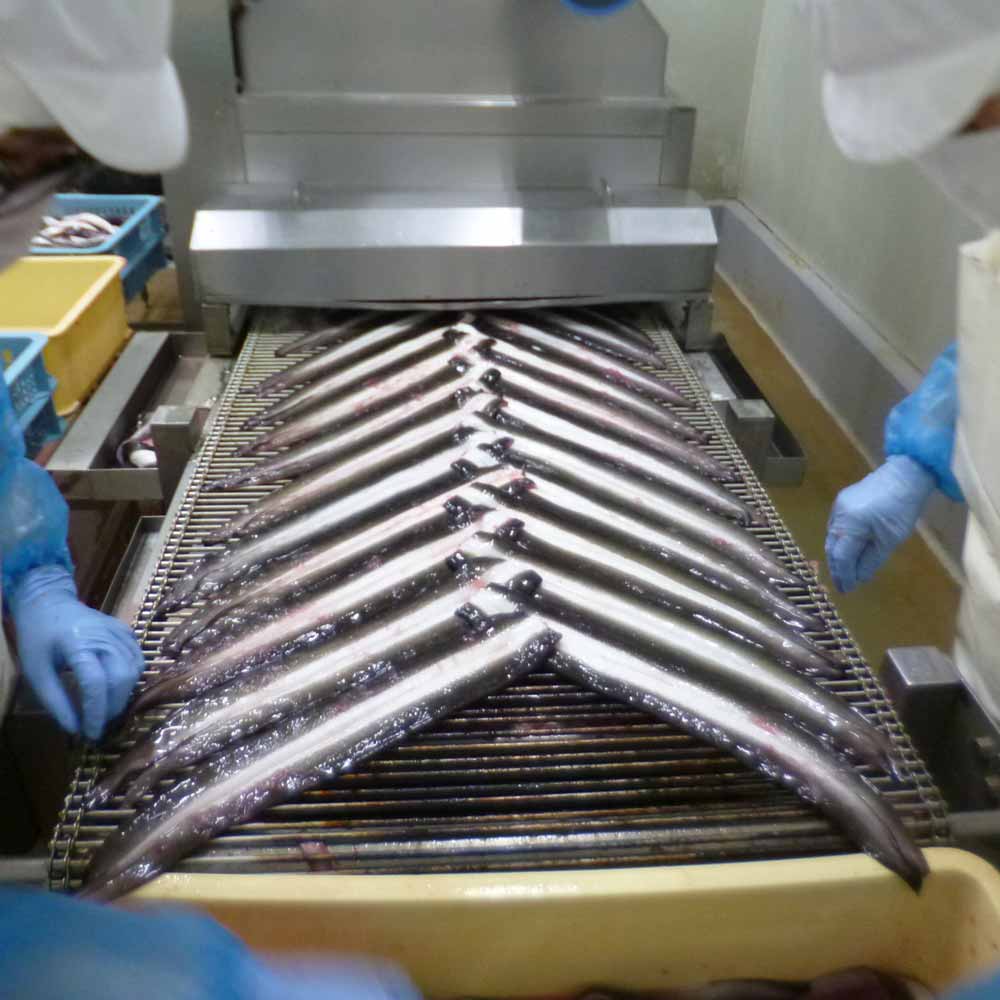 鹿児島県産 うなぎ蒲焼き4尾セット※添付たれ・さんしょう4個付