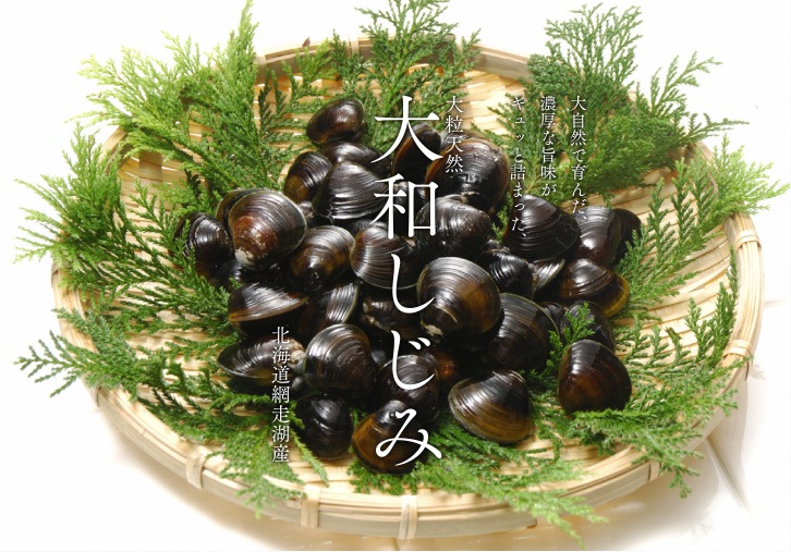 �����л�ŷ�����¤����ߡ�����ۡ����������٤ϣ��ͽ��