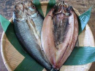 �����������˥�����祵������