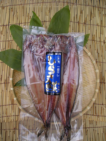 �����������ۥå����極���������