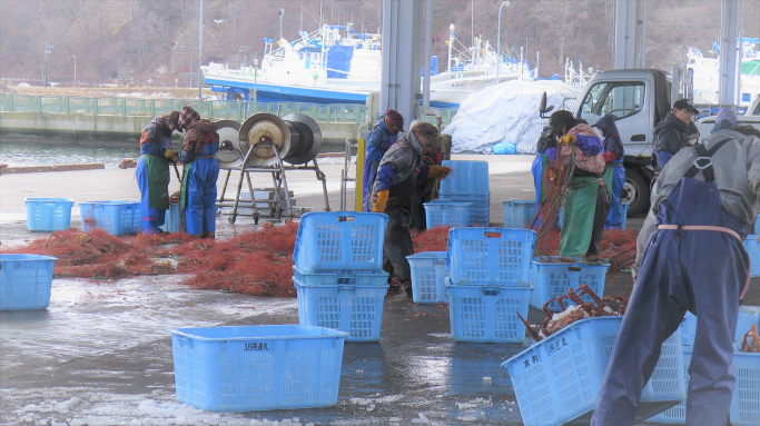 ���˥ϥ�� �ץ졼�� �ڤ鷺������δ������̤�������̣�廊����ʡ�