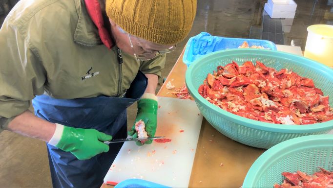 ���˥ϥ�� �ץ졼�� �ڤ鷺������δ������̤�������̣�廊����ʡ�