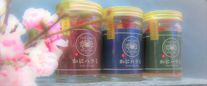 ���˥ϥ�� �ץ졼�� �ڤ鷺������δ������̤�������̣�廊����ʡ�