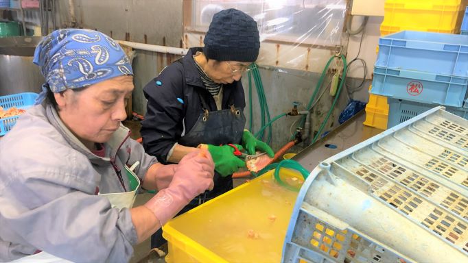 ���˥ϥ�� ���蘆���¤� �ڤ鷺������δ������̤�������̣�廊����ʡ�