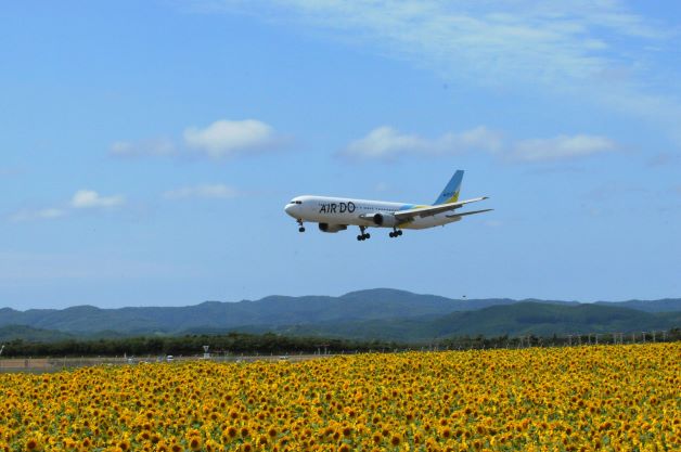 �Ҥ����⤳������� ���ޥ�١�������� 170��