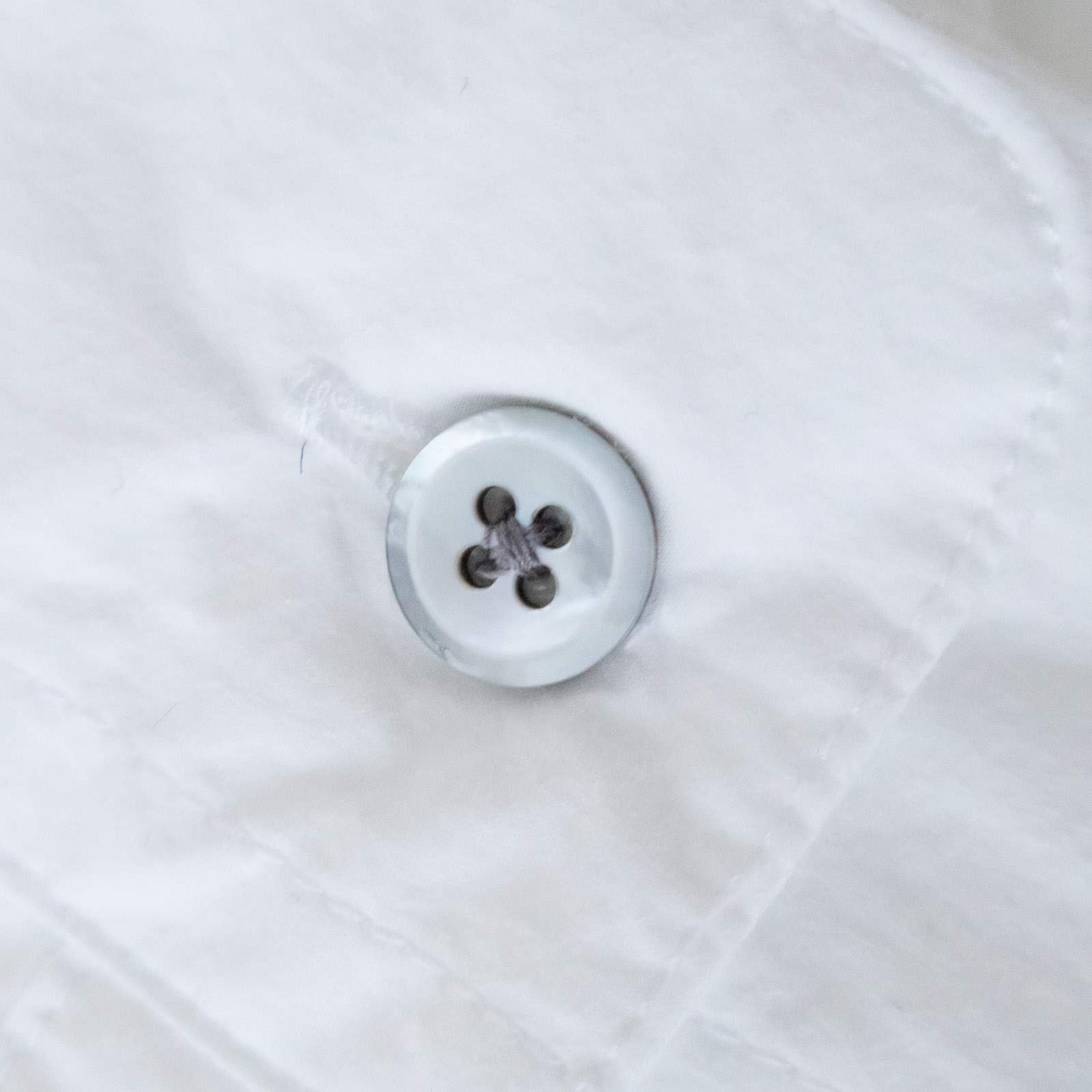 80/1�����ץ饤���� �쥮��顼���顼���å�������� R39600 RINEN