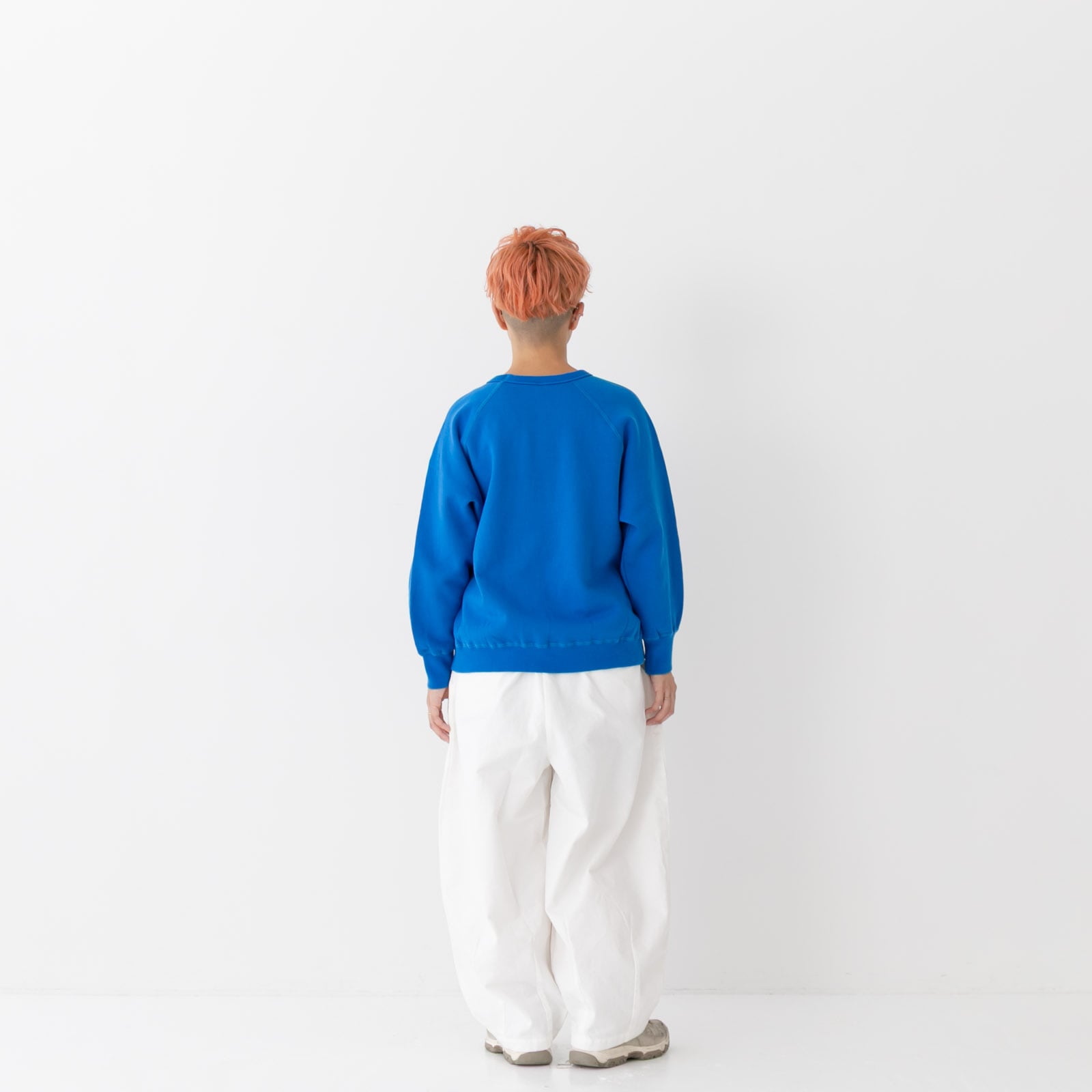 30/10΢�ӵ��� �饰��󥹥꡼�֥ץ륪���С� P90645 prit