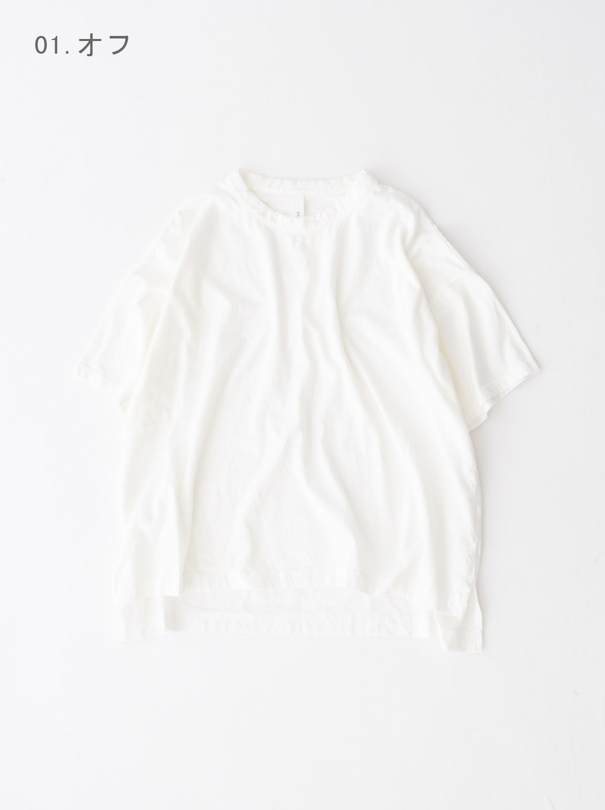 30/1�ꥵ���������ŷ�� 5ʬµ�磻��T����� P92629 prit