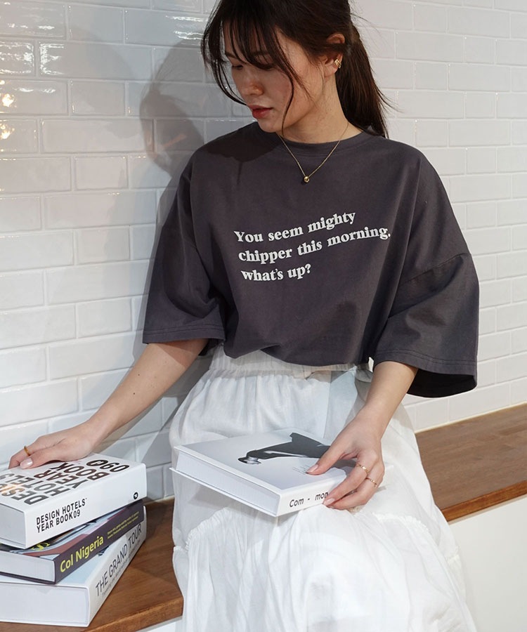 ��������ץ���T�����