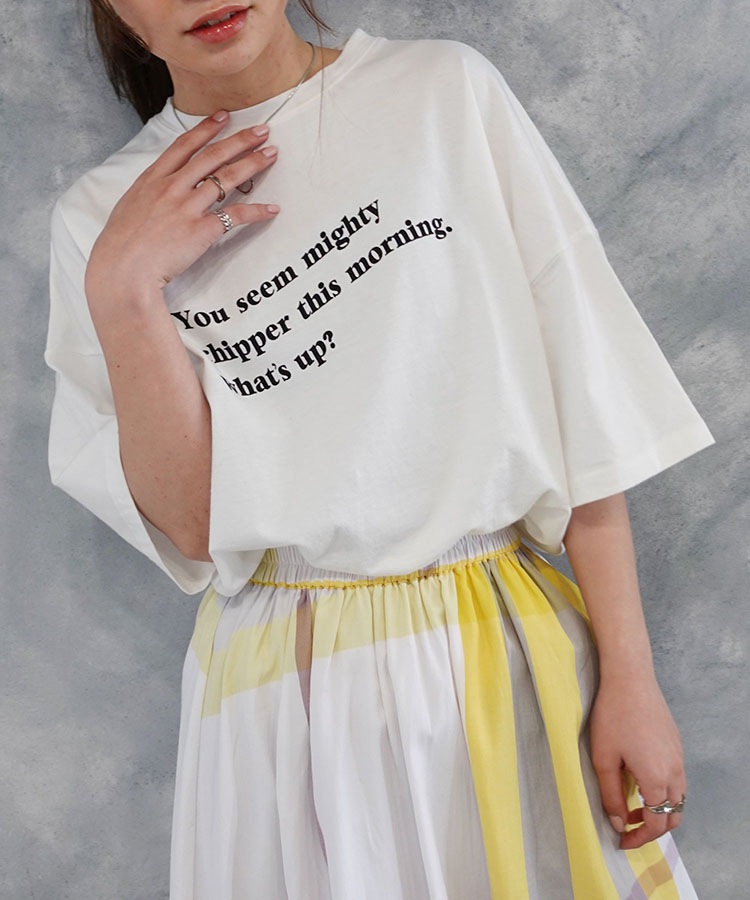 ��������ץ���T�����