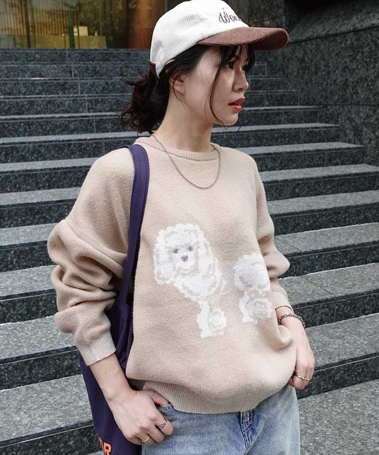 DOG㥬ɥ˥åȥץ륪С