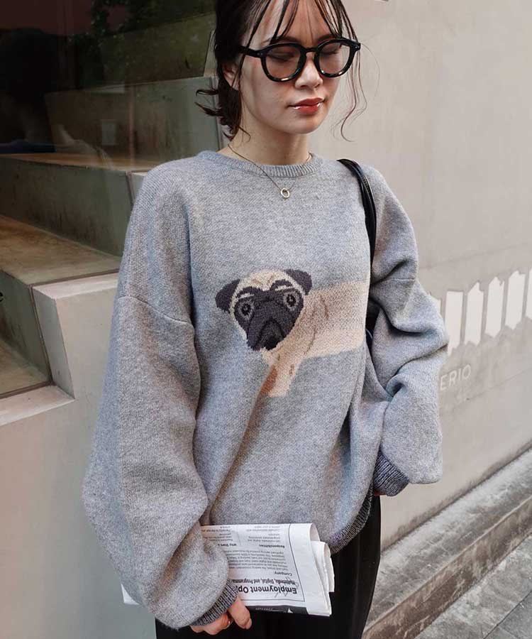 DOG㥬ɥ˥åȥץ륪С