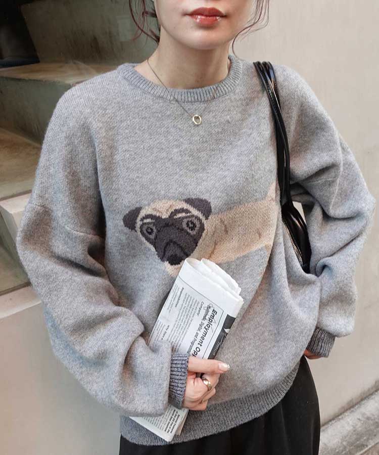 DOG㥬ɥ˥åȥץ륪С