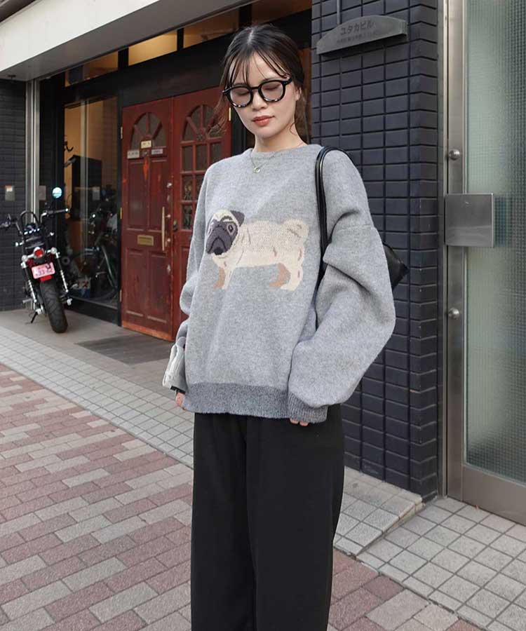 DOG㥬ɥ˥åȥץ륪С