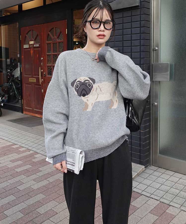 DOG㥬ɥ˥åȥץ륪С