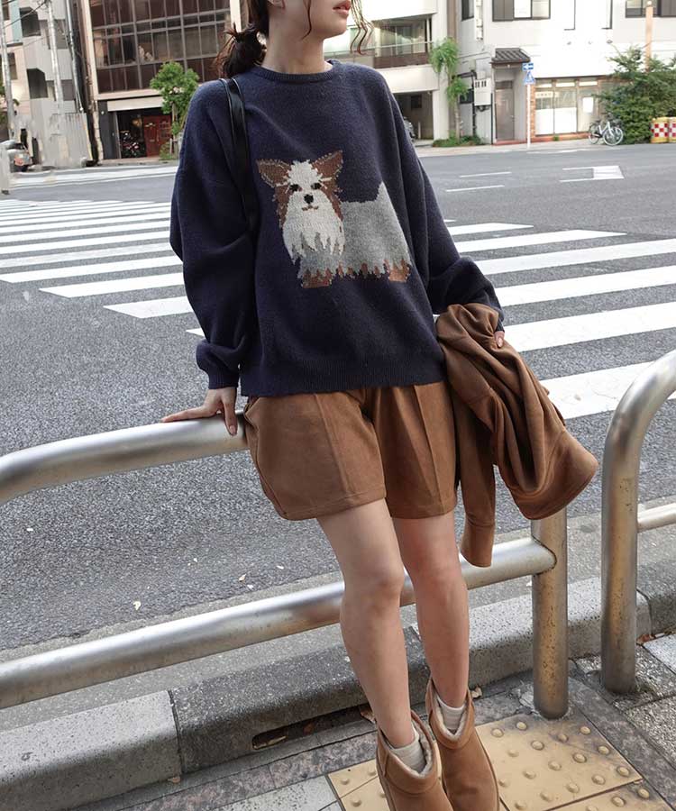 DOG㥬ɥ˥åȥץ륪С