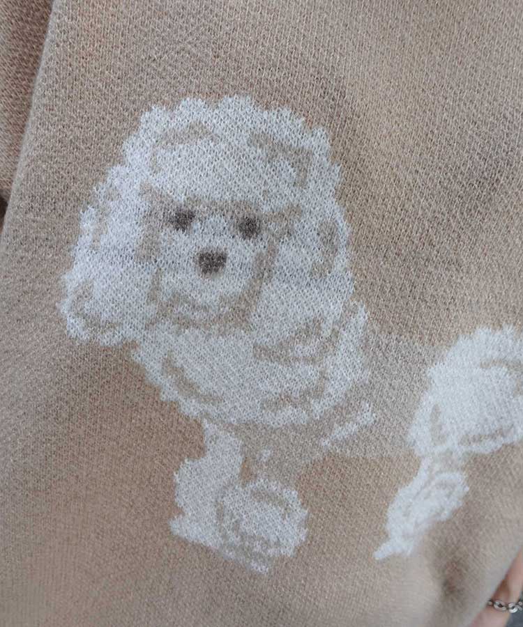 DOG㥬ɥ˥åȥץ륪С