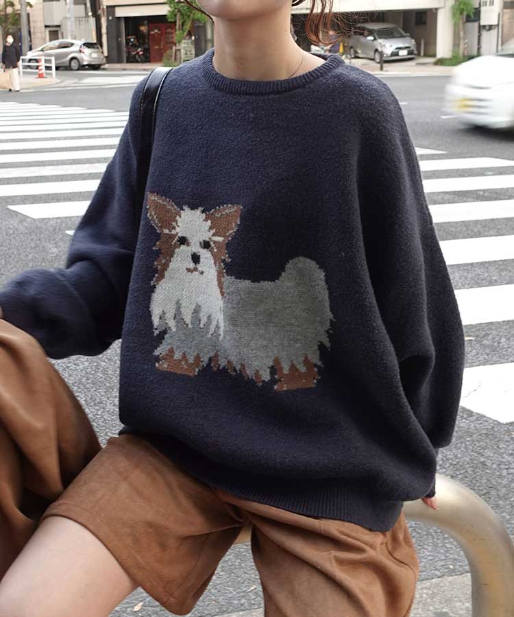 DOG㥬ɥ˥åȥץ륪С