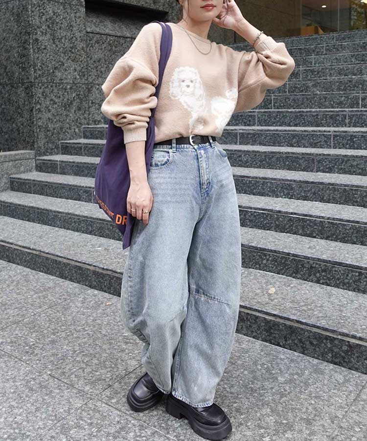 DOG㥬ɥ˥åȥץ륪С