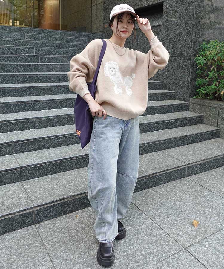 DOG㥬ɥ˥åȥץ륪С