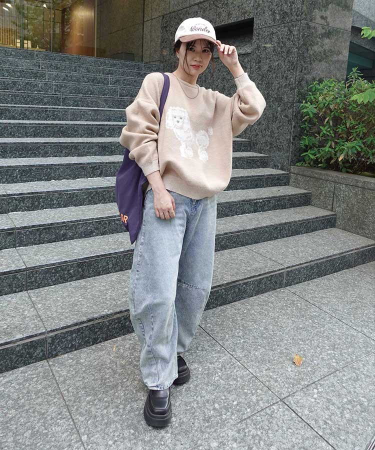 DOG㥬ɥ˥åȥץ륪С