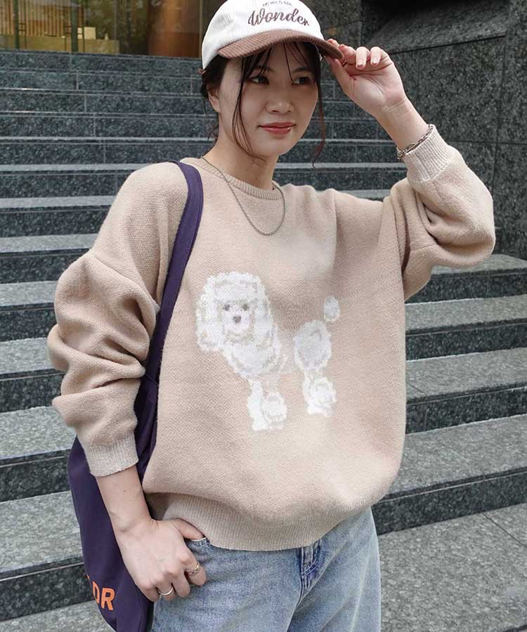 DOG㥬ɥ˥åȥץ륪С