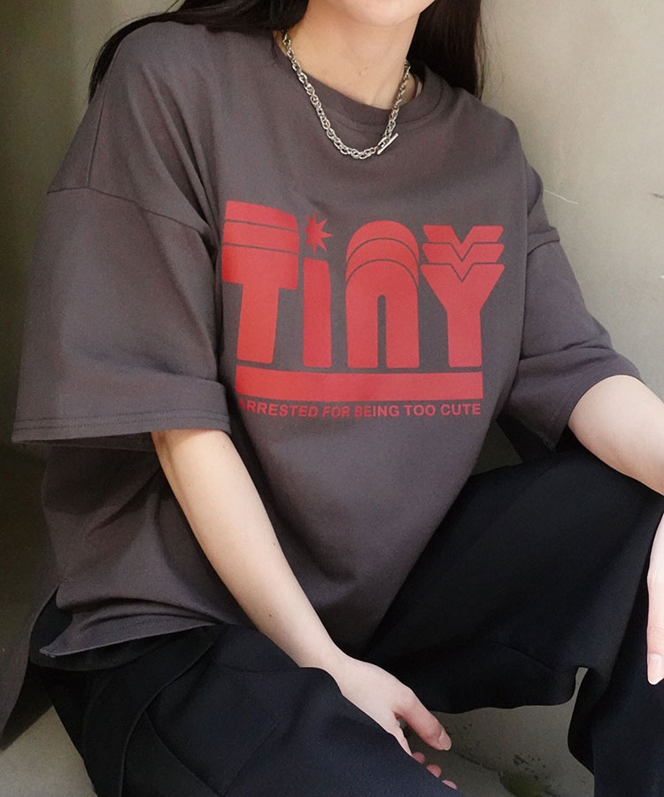 Tiny�ץ���T�����