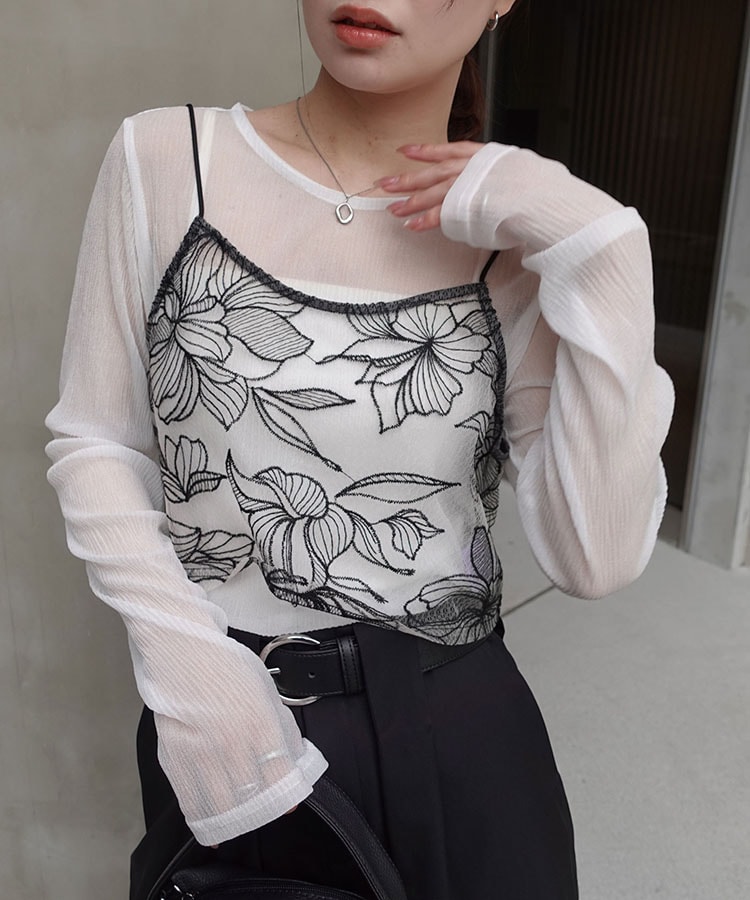 ���塼������ɽ��ӥ������ں����١�