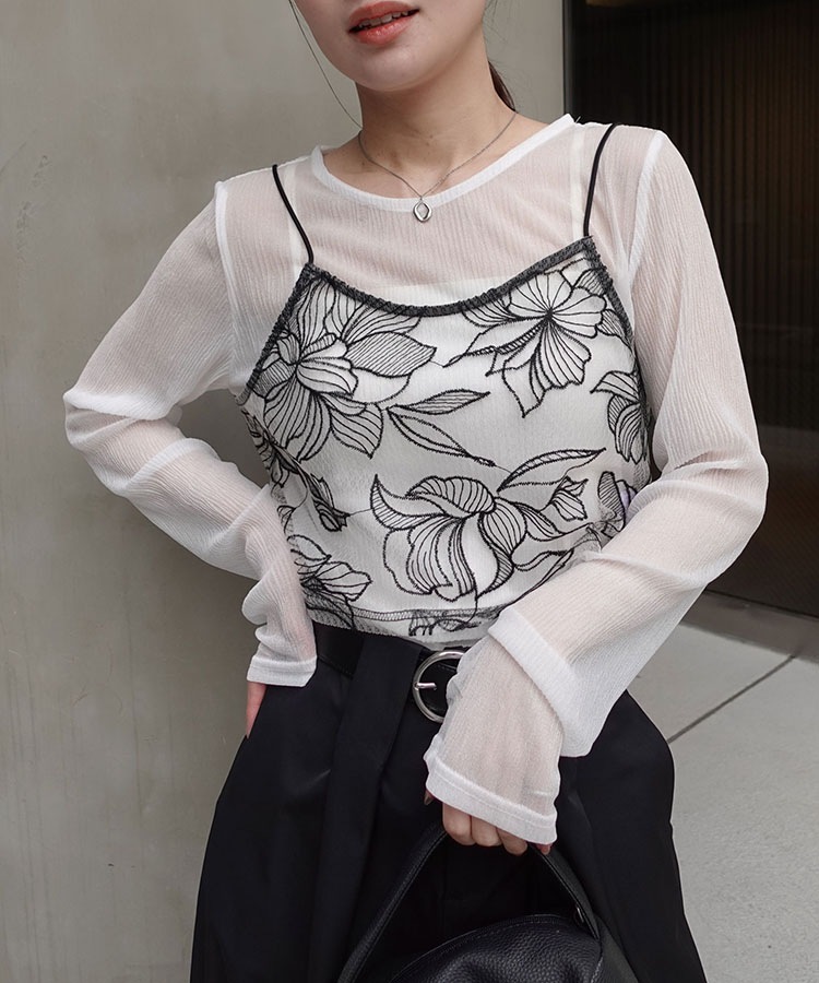 ���塼������ɽ��ӥ������ں����١�